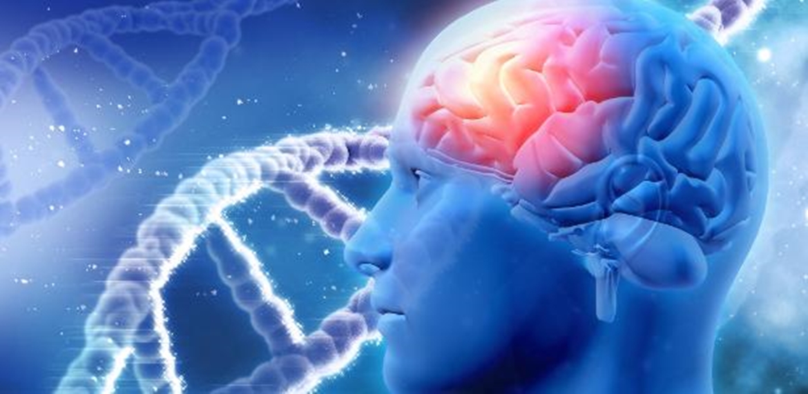 alzheimer 1509720765283 v2 615x300