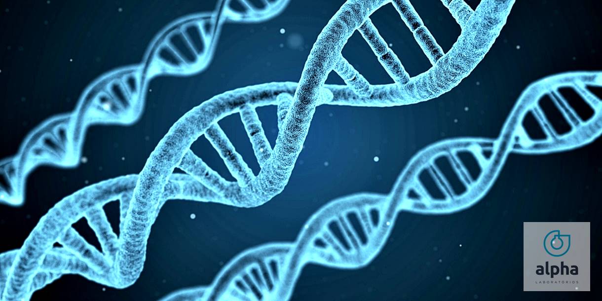 03 09 SEMANA 02Teste genético um aliado contra o câncer imagem01