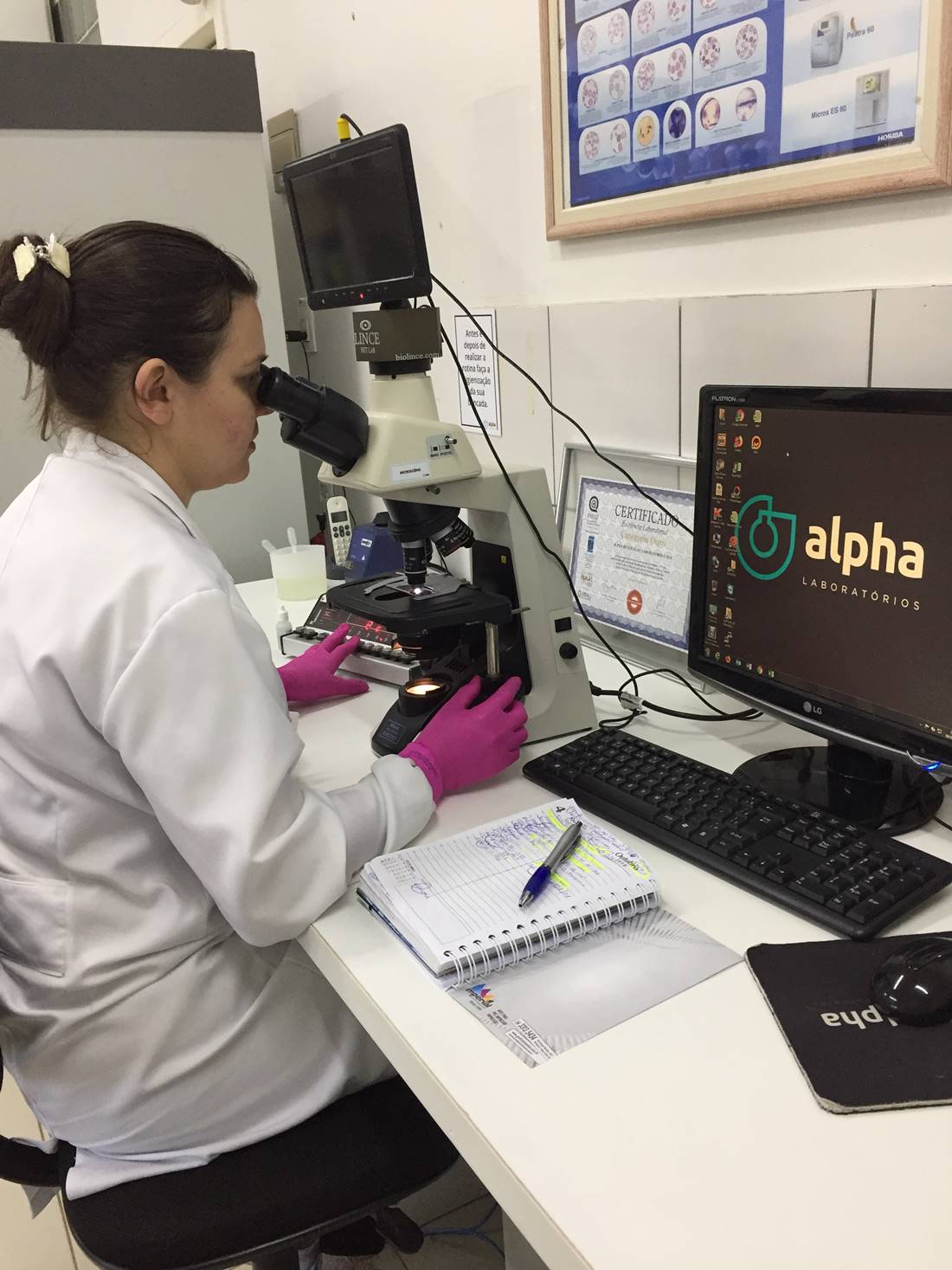 10 SEMANA 03 03 FRAN