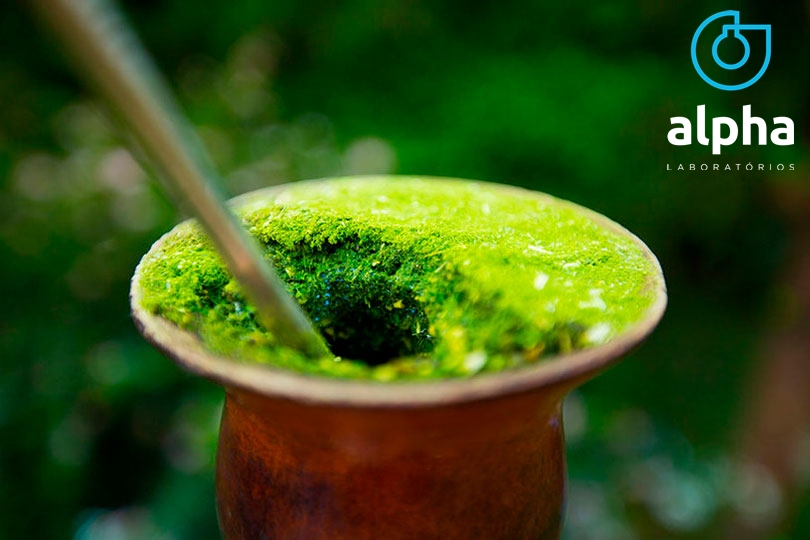 12 SEMANA 01 01 Benefícios do chimarrão para a saúde IMAGEM