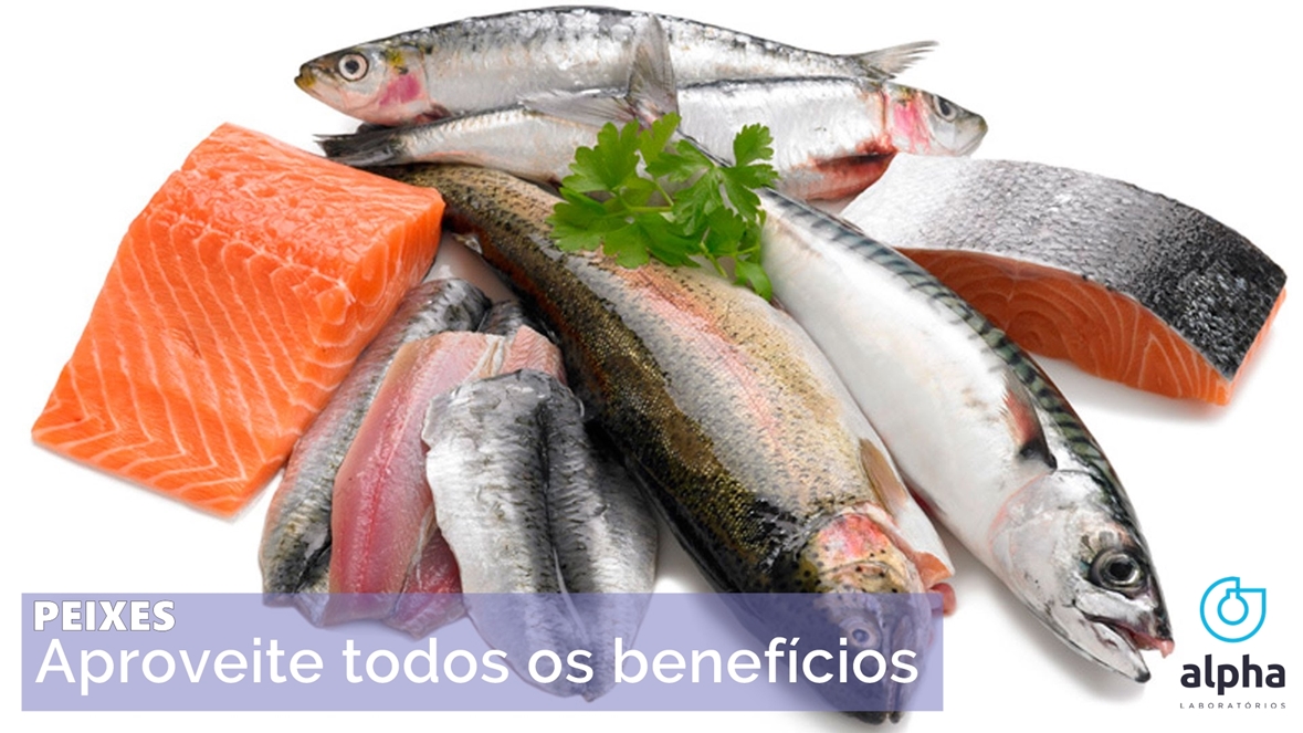 12 SEMANA ALPHA 02 02 Comer peixe emagrece e protege o coração IMAGEM