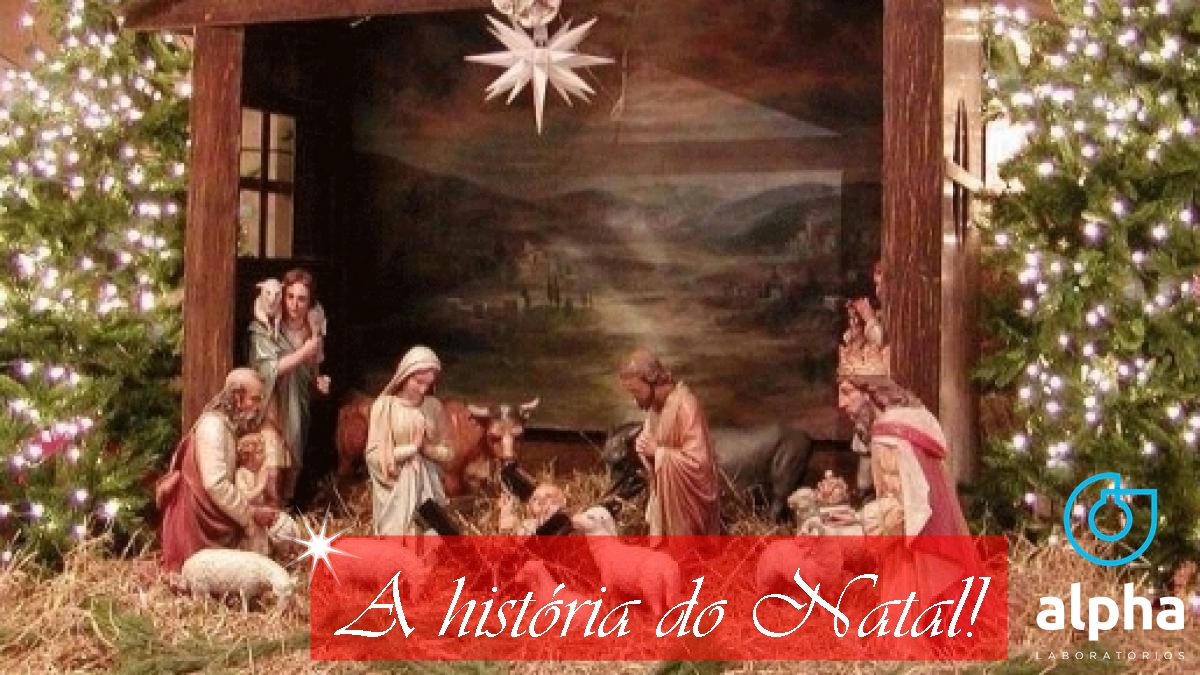 12 SEMANA ALPHA 03 03 NATAL