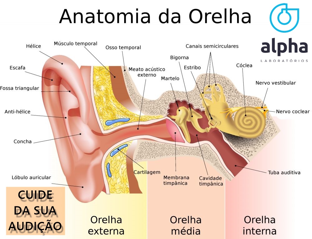 01 ALPHA SEMANA 05 02 AUDIÇÃO IMAGEM