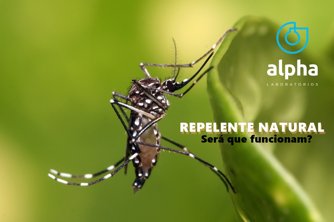 02 ALPHA SEMANA 01 04 Soluções caseiras conseguem repelir mosquitos