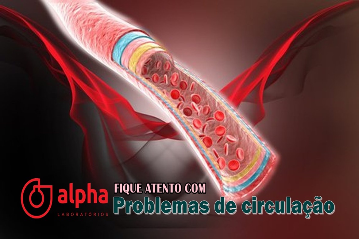 03 ALPHA SEMANA 02 01 circulacao saudavel SITE 2