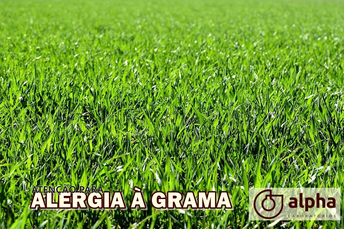 03 ALPHA SEMANA 03 01 GRAMA SITE