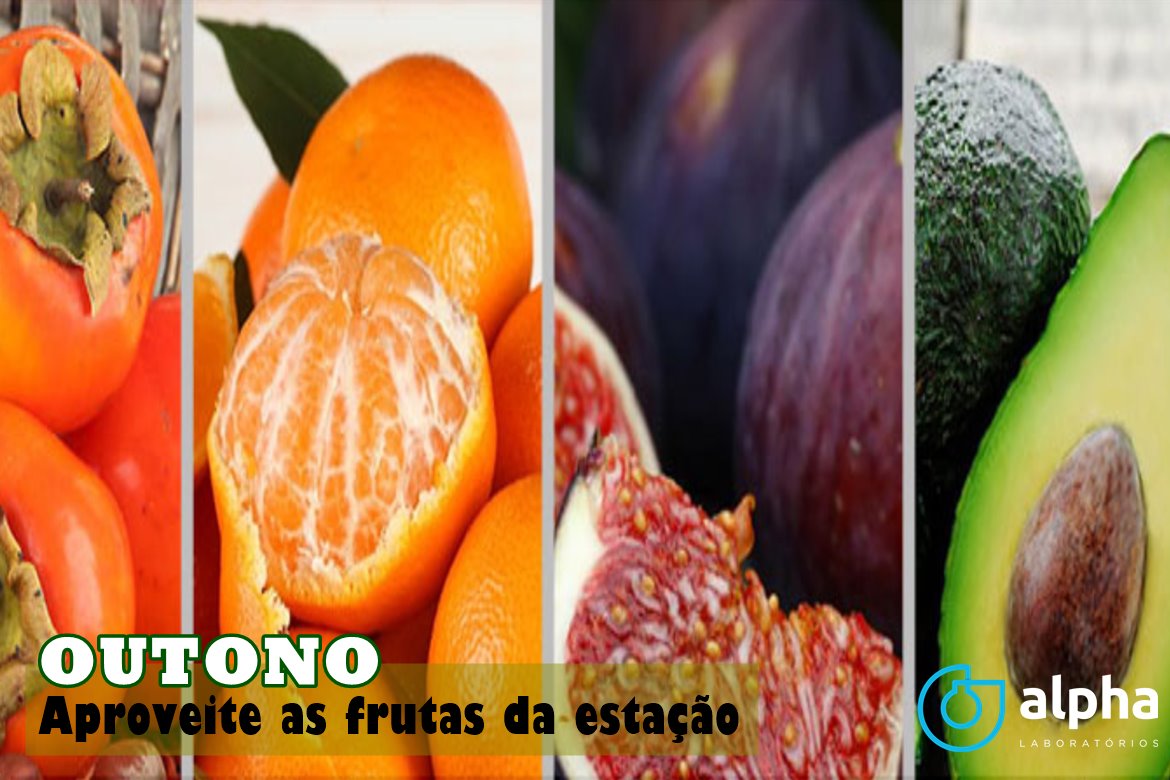 05 ALPHA SEMANA 02 01 FRUTAS OUTONO site