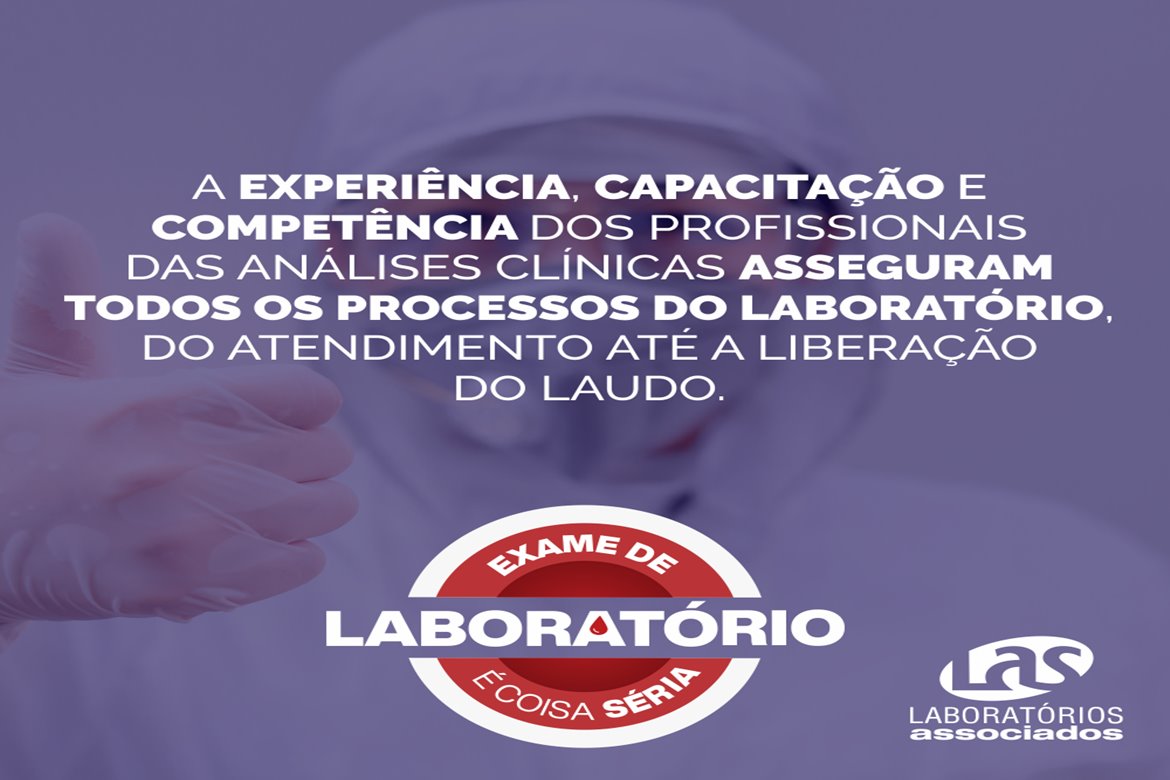 ALPHA SEGURNÇA SITE